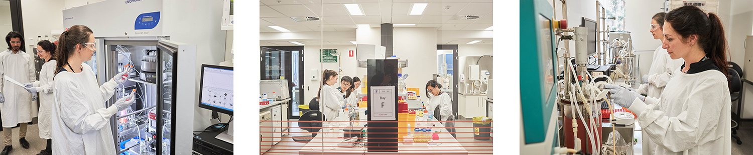 New laboratory space in D26 Biosciences Building